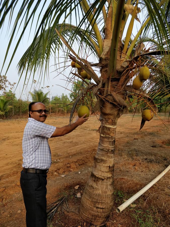Sneha Farm House Kudal  Exterior foto